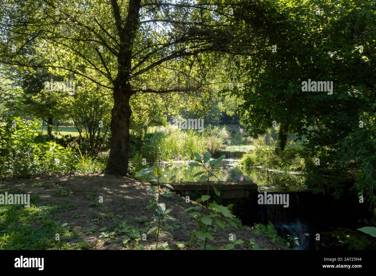 Parque da Lavandeira situé à Oliveira do Douro, Vila Nova de Gaia, Portugal. Idéal pour les balades, les aires de pique-nique et les jardins thématiques. Banque D'Images