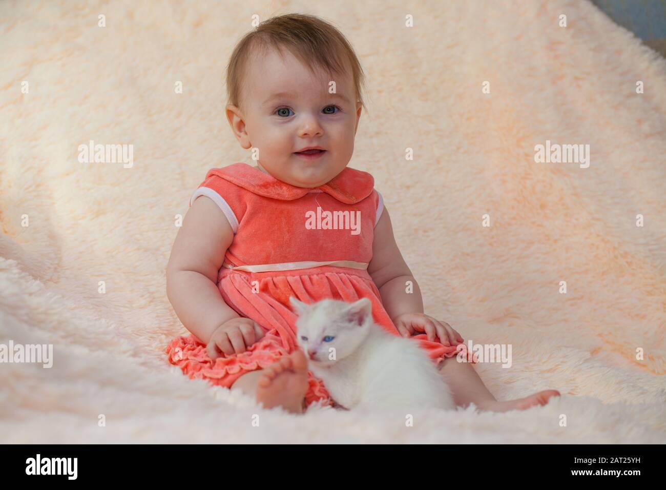 Jolie Fille De Bebe Dans Une Robe Funeraire Avec Un Petit Chaton Blanc Neige Mignon Photo Stock Alamy
