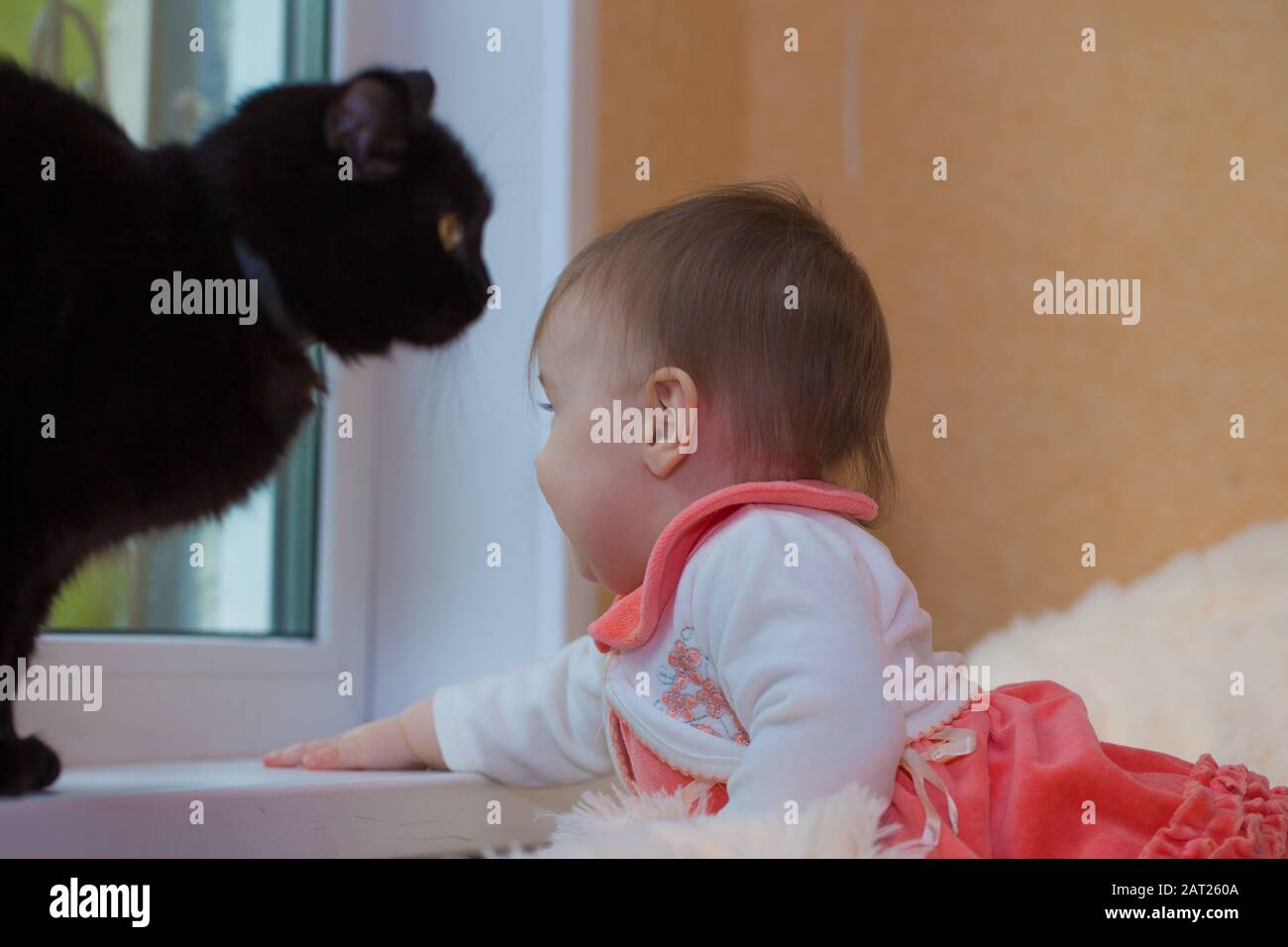 Jolie Fille De Bebe Dans Une Robe De Corail Avec Un Chat Noir Dangereux Photo Stock Alamy