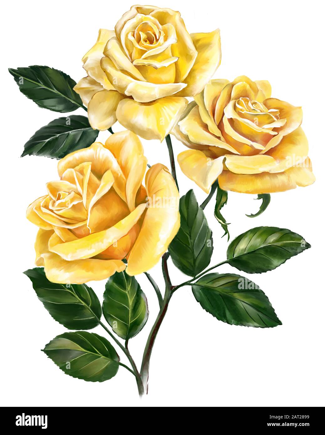 fleur rose jaune avec feuilles vertes, illustration d'art peinte avec des aquarelles isolées sur fond blanc. Banque D'Images