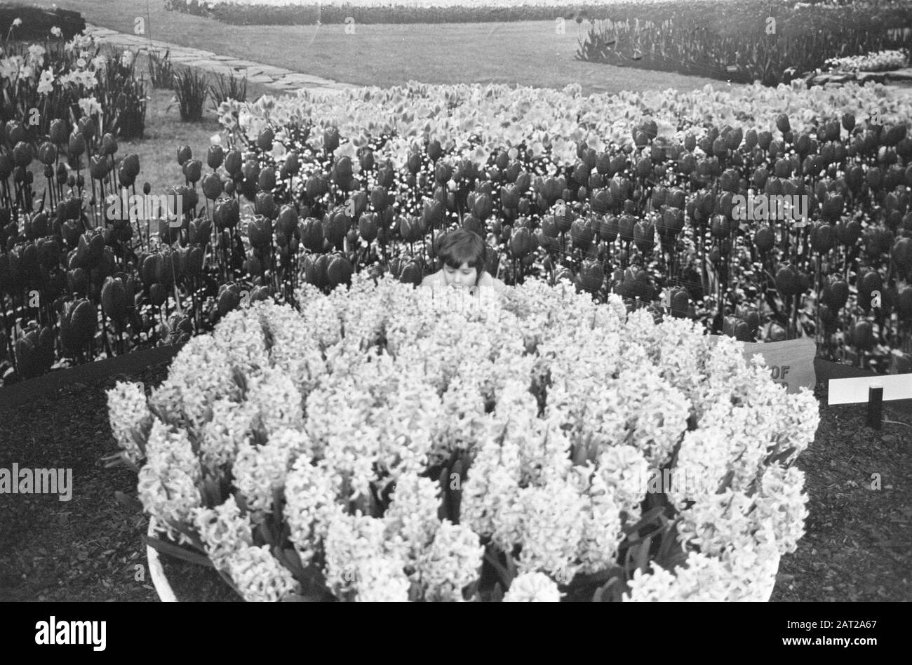 Exposition Floriade à Amsterdam ouverte au public Date: 31 mars 1972 lieu: Amsterdam, Noord-Holland mots clés: Expositions Banque D'Images