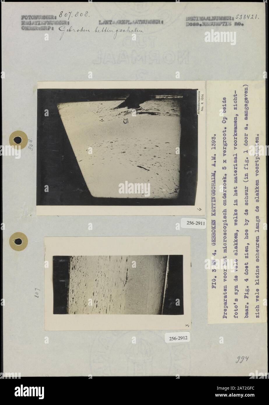 Chaîne brisée A.M. 1393 photo 1 : Fig. 3: Préparations pour l'examen microscopique, 5 x agrandi. Les nombreux escargots présents dans le matériau sont visibles. (13 x 10,5 cm; inconnu) photo 2 : Fig. 4: Préparations pour l'examen microscopique, 5 x agrandi. Les nombreux escargots présents dans le matériau sont visibles. Cette figure montre comment à la fissure (illustrée par un dans la figure 1) beaucoup de petites fissures se reproduisent le long des escargots (12 x 7,5 cm; inconnu) Date: Non dédré mots clés: Fractions, chaînes, chainshells, escargots Banque D'Images