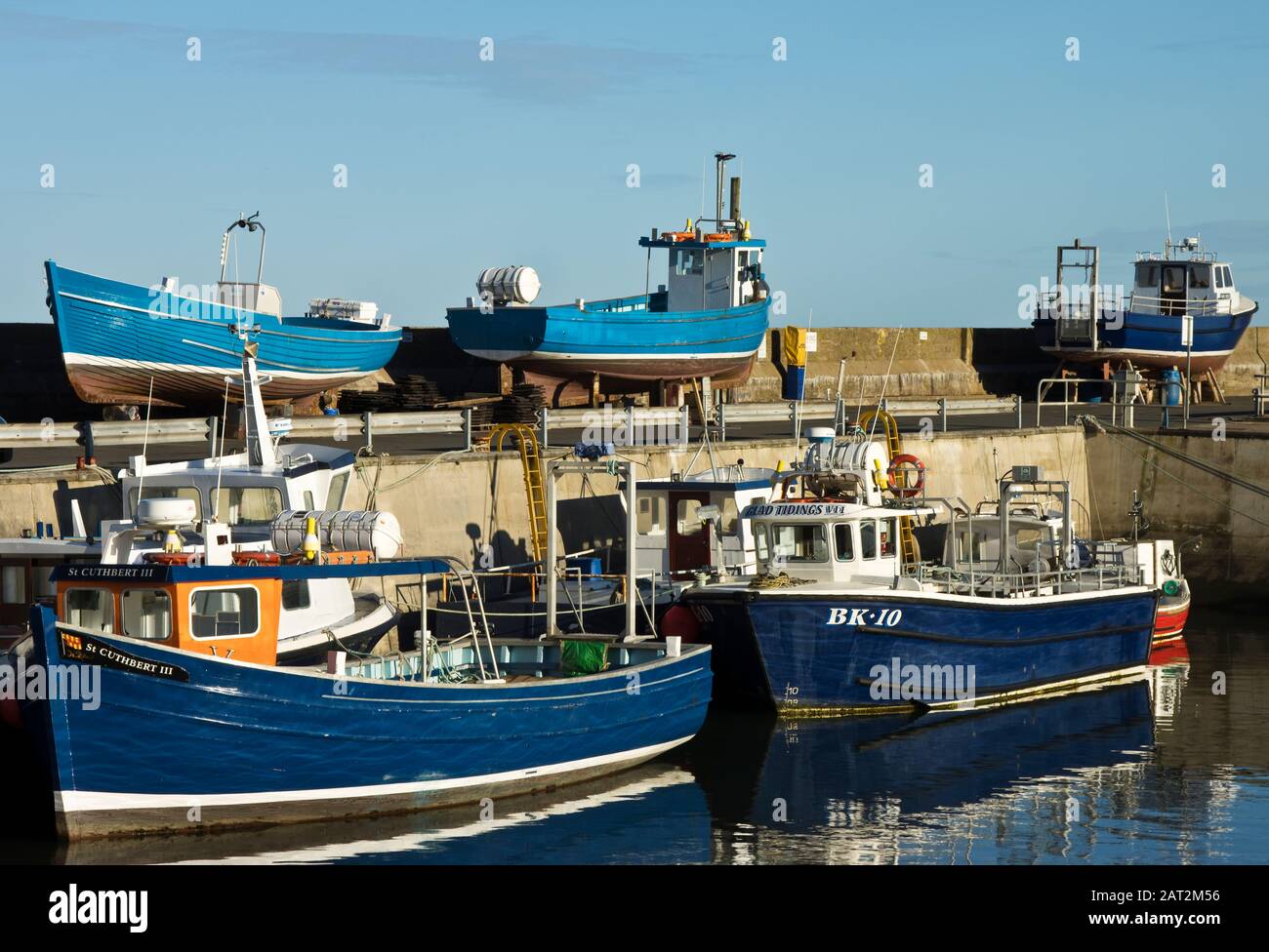 Bateaux de pêche côtiers bleus dans le port Seahouses, Northumberland Royaume-Uni. Banque D'Images