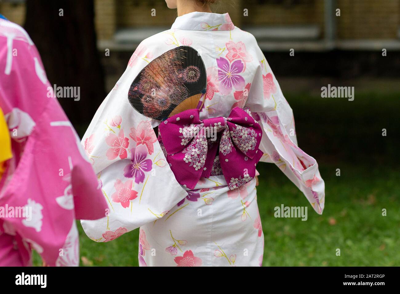 Les kimono des femmes sont magnifiques. La culture japonaise Banque D'Images