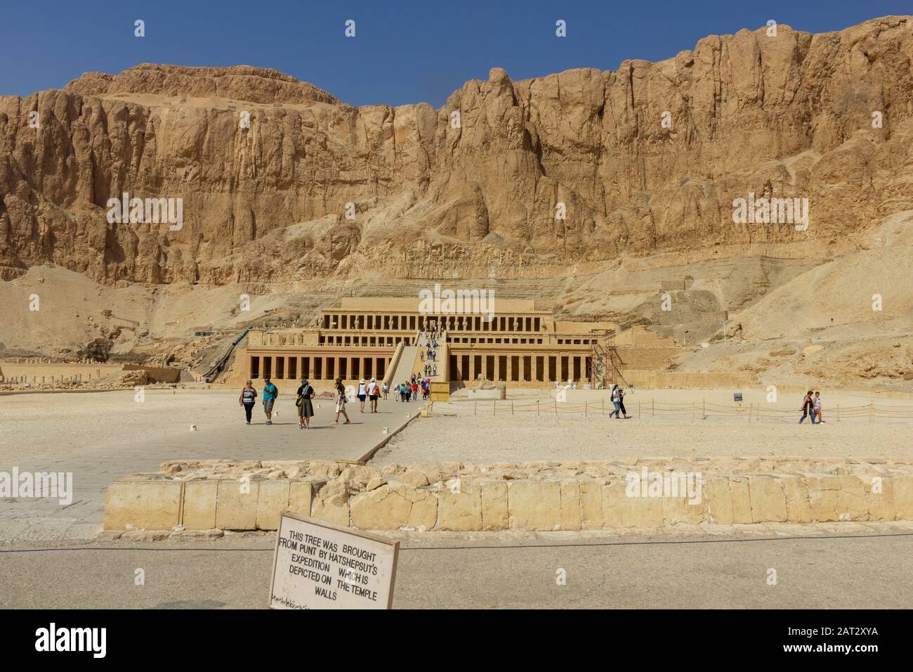 Vue d'ensemble sur le temple mortuaire de Hatshepsut Banque D'Images