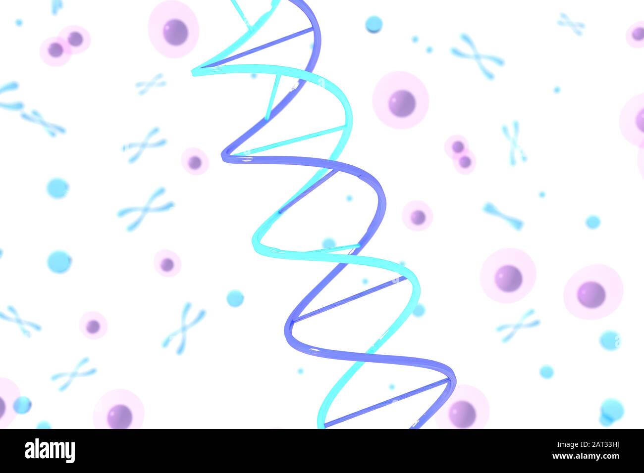 Rendu tridimensionnel de la structure de l'ADN (acide désoxyribonucléique), illustration tridimensionnelle. Banque D'Images