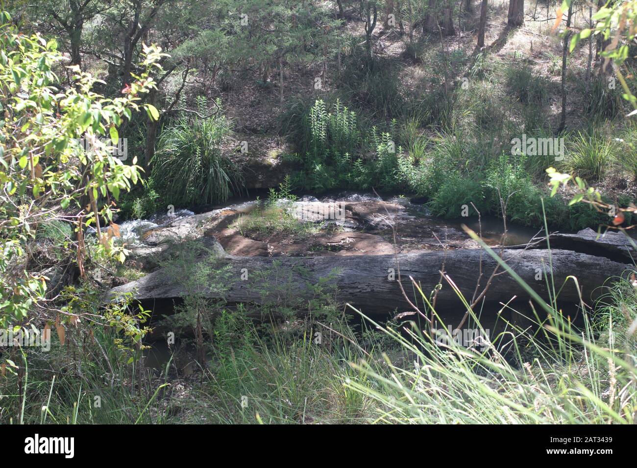 Killarney, Queensland, Australie Banque D'Images