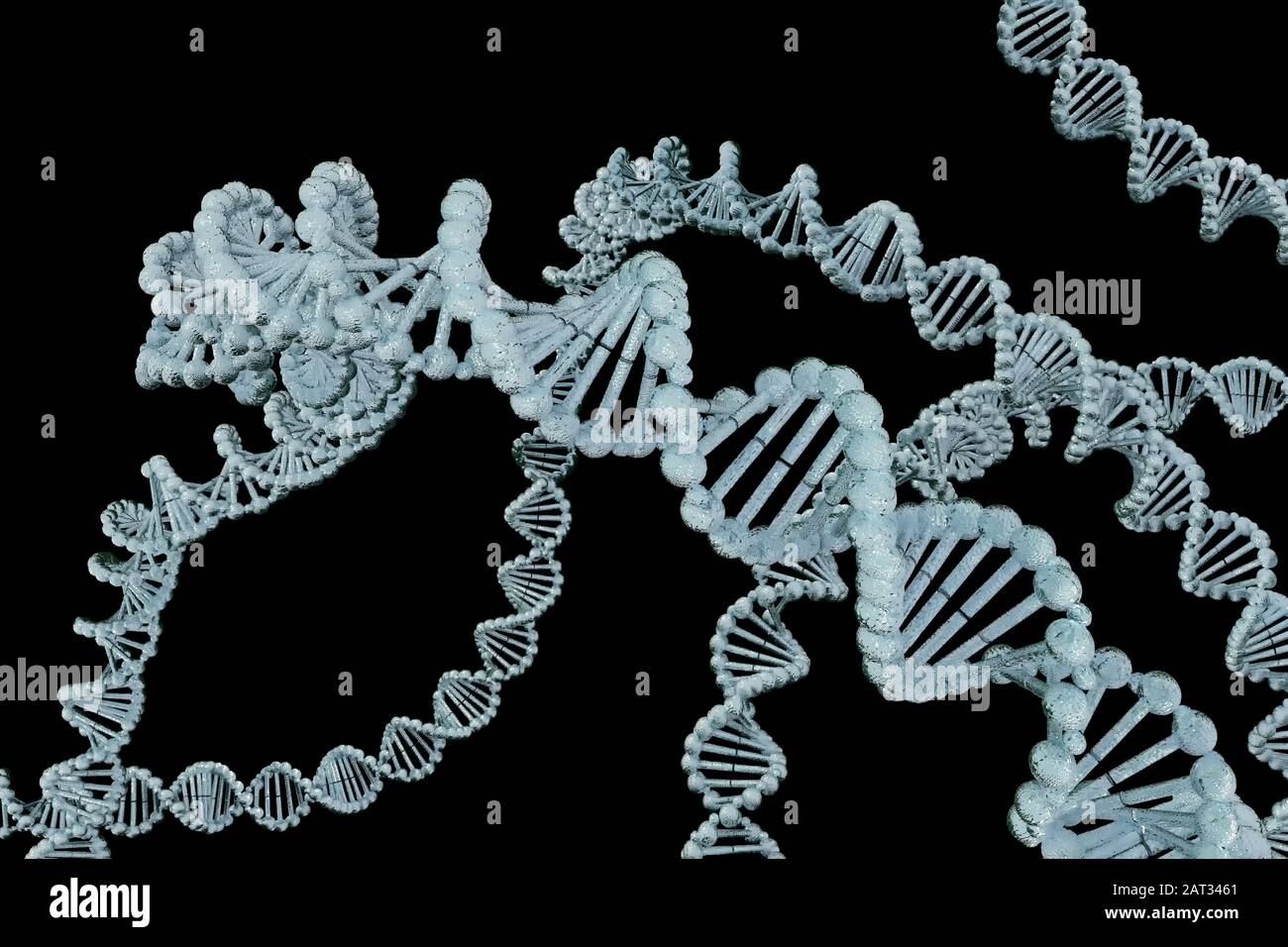 Rendu tridimensionnel de la structure de l'ADN (acide désoxyribonucléique), illustration tridimensionnelle. Banque D'Images
