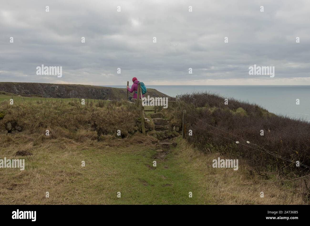 Femme Walker Crossing Une Tuile De Pierre À Stepping Sur Le Sentier De La Côte Sud-Ouest Entre Mullion Cove Et Lizard Point Dans La Région Rurale De Cornwall, Angleterre, Royaume-Uni Banque D'Images