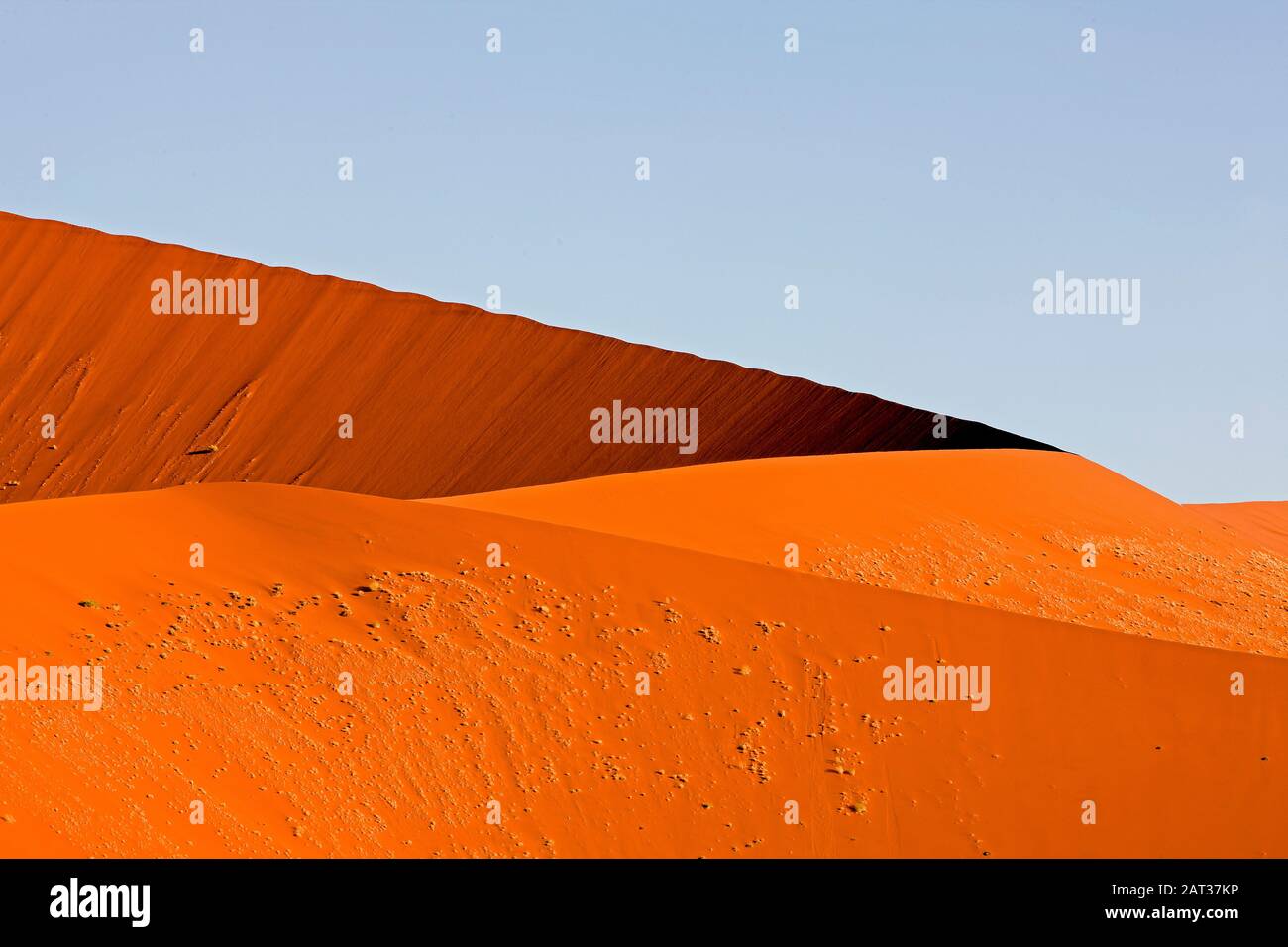 Sossulsvlei dans les dunes du désert du Namib, le Namib Naukluft Park en Namibie Banque D'Images