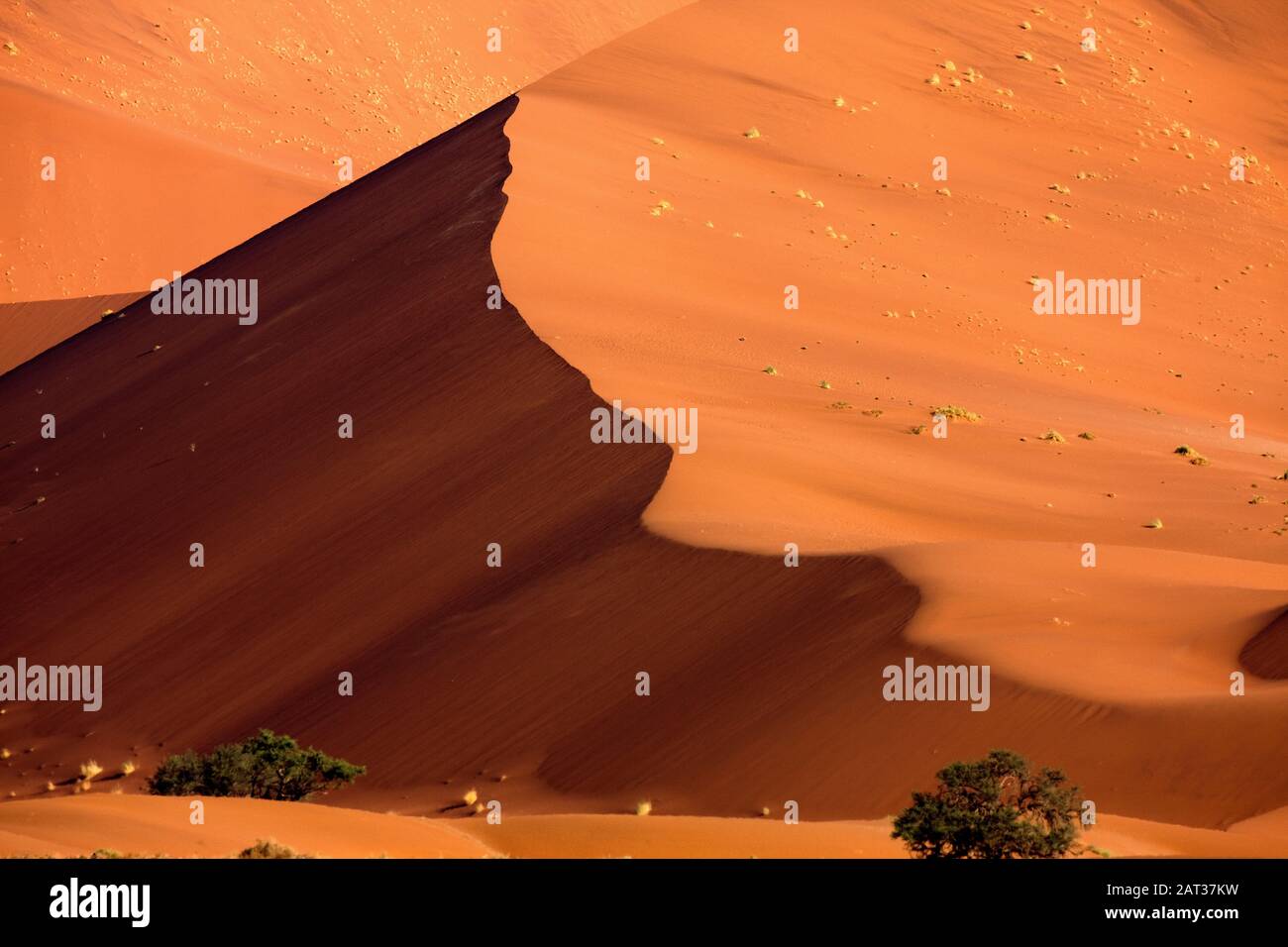 Sossulsvlei dans les dunes du désert du Namib, le Namib Naukluft Park en Namibie Banque D'Images