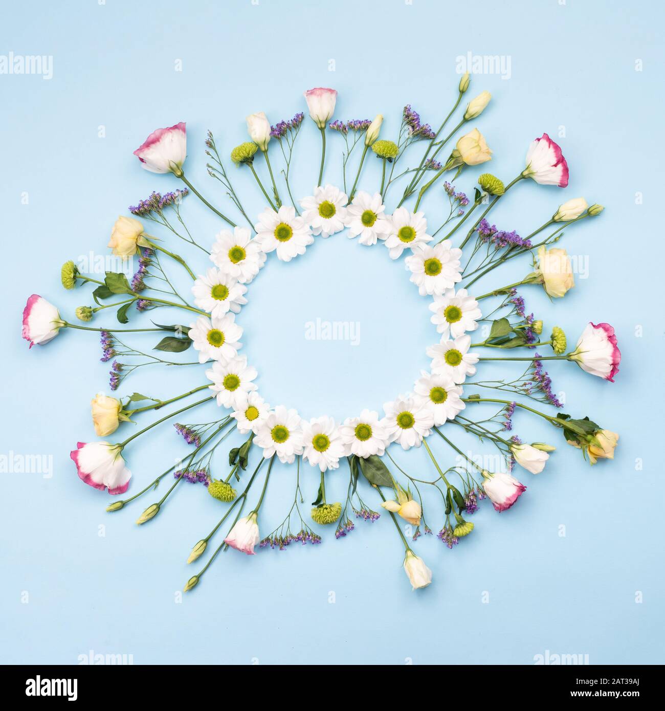 Belle composition de fleurs. Couronne faite de fleurs blanches. Fête des spaceValentines, heureuse fête des femmes, fête des mères. Couche plate, vue supérieure, copie Banque D'Images