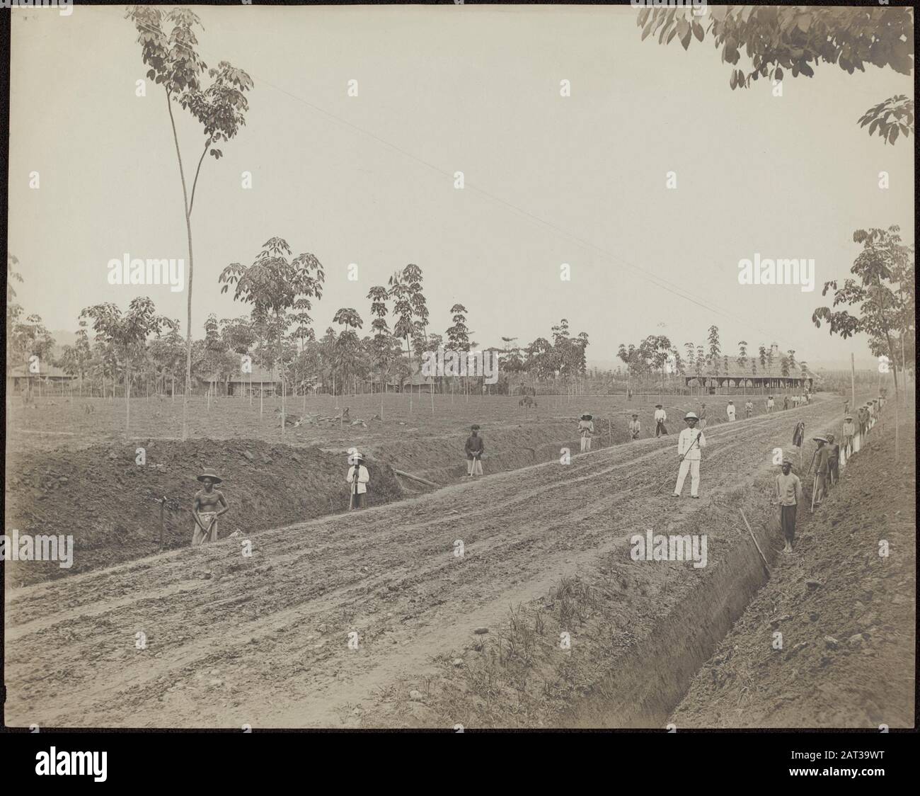 Plantation de caoutchouc Balang Seragam in Deli creuser des tranchées pour les canaux de drainage sur la plantation de caoutchouc Balang Seragam in Deli (Sumatra est) Annotation: Pression de platine, 29 x 36 cm. Date: 1880 lieu: Deli, Indonésie, Hollandais East Indies, Sumatra mots clés: Travailleurs, plantations, caoutchouc, gestion de l'eau Banque D'Images