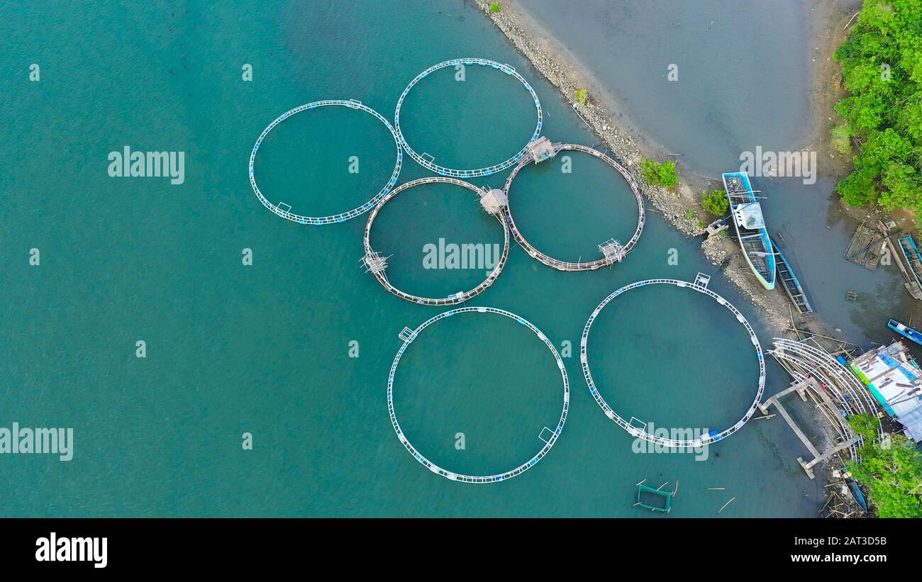 Vue aérienne d'étangs du poisson pour bangus, chanos. Fish Farm, vue d'en haut. flottante traditionnelle à grande échelle des piscicultures. Banque D'Images