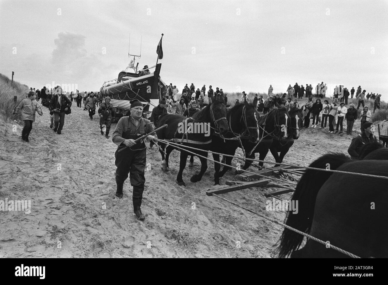 Le prince Claus et la reine Beatrix paient une visite de travail à North-East Friesland Hollum (Am). Le bateau de sauvetage Amelander est conduit par des chevaux à la plage pendant la visite de travail de la reine Beatrix et du prince Claus aux îles Wadden. Sur les prédécesseurs O. de Vries Date: 15 octobre 1981 lieu: Ameland, Friesland, Hollum, Îles Wadden mots clés: Chevaux, bateaux de sauvetage, maisons royales, visites de travail Banque D'Images