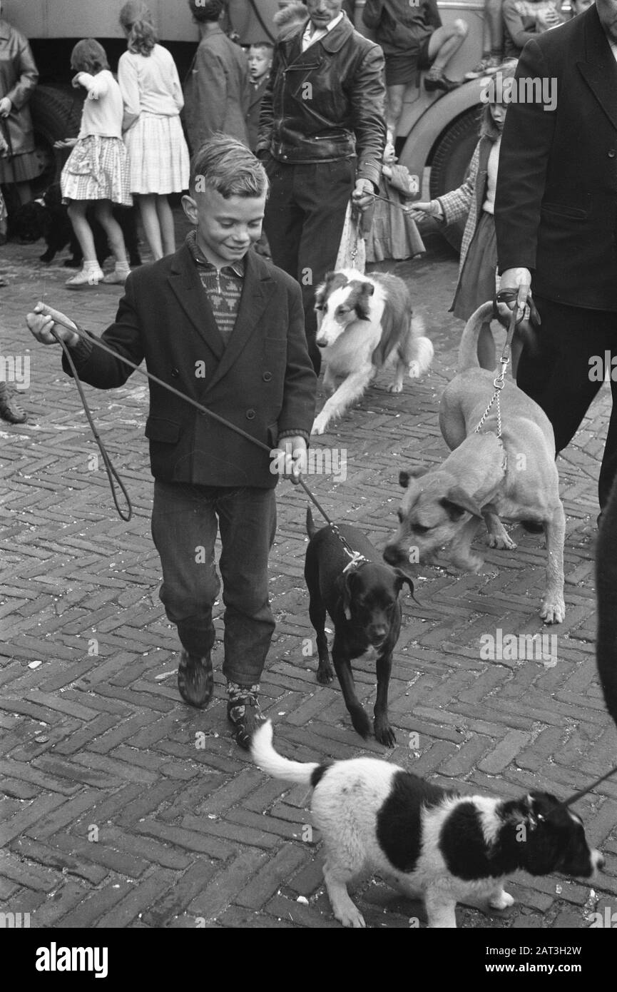 Spectacle de chiens dans le Jordaan. Défilé de chiens Date: 28 juillet 1961 lieu: Amsterdam mots clés: Chiens, enfants Banque D'Images