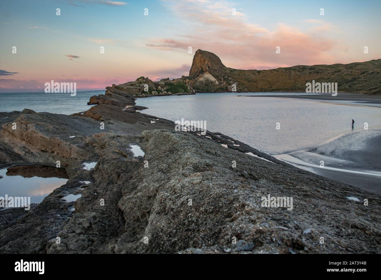 Vue panoramique sur les falaises de Castlepoint, les rochers et le lagon depuis les escaliers au coucher du soleil avec ciel bleu, rose et violet. Île Du Nord, Nouvelle-Zélande Banque D'Images