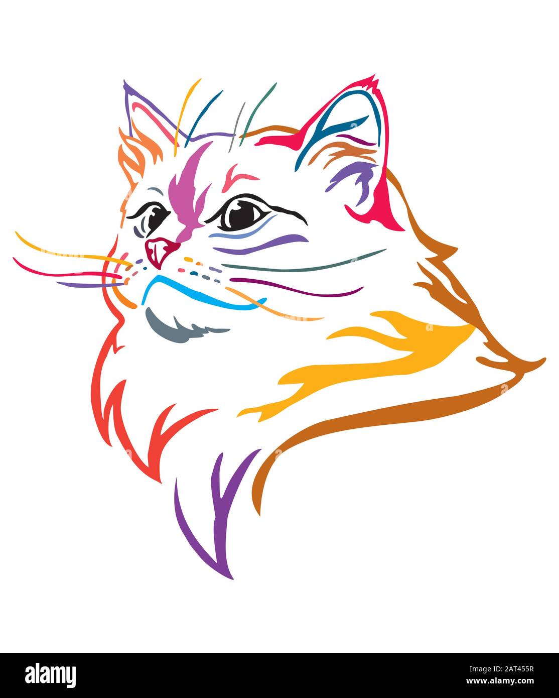 Portrait Decoratif Colore De Chat Ragdoll Illustration Vectorielle De Contour Dans Differentes Couleurs Isolees Sur Fond Blanc Image Pour Le Design Et Le Tatouage Image Vectorielle Stock Alamy Portrait Decoratif Colore De Chat Ragdoll Illustration Vectorielle De Contour Dans Differentes Couleurs Isolees Sur Fond Blanc Image Pour Le Design Et Le Tatouage Image Vectorielle Stock Alamy