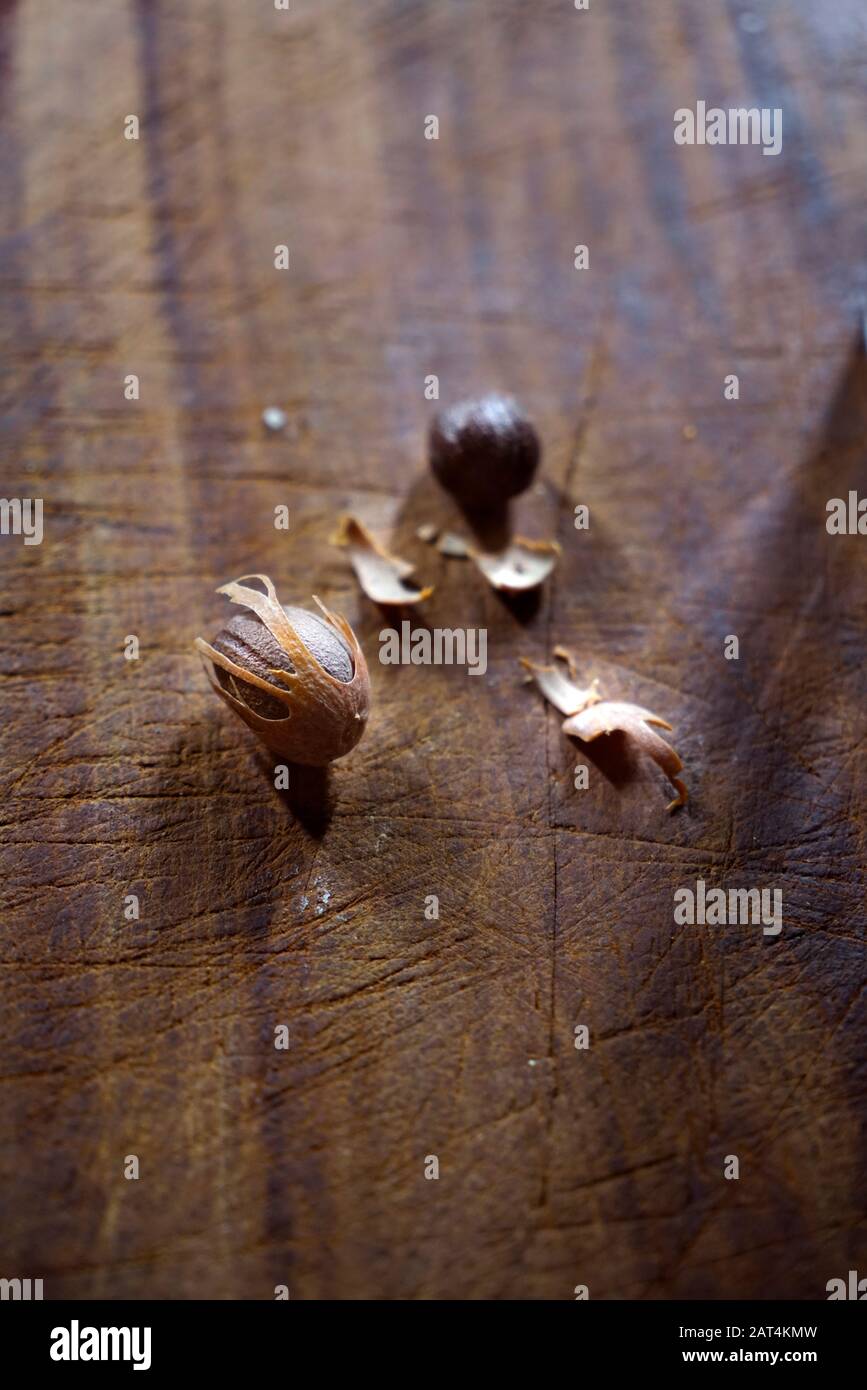 Muscade sur table en bois, Milan, Lombardie, Italie, Europe Banque D'Images