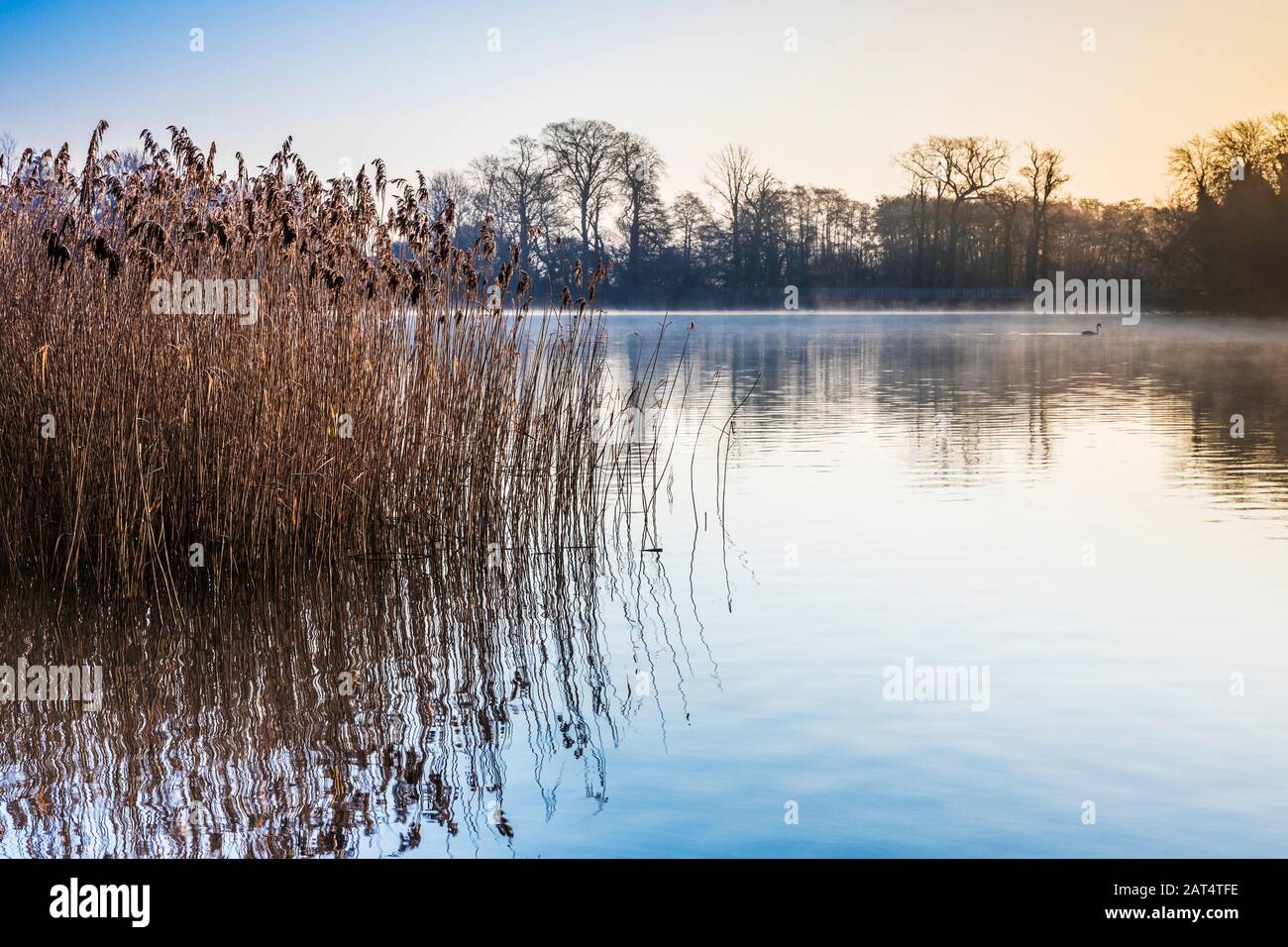 Un lever de soleil froid et d'hiver au-dessus de Coate Water à Swindon. Banque D'Images
