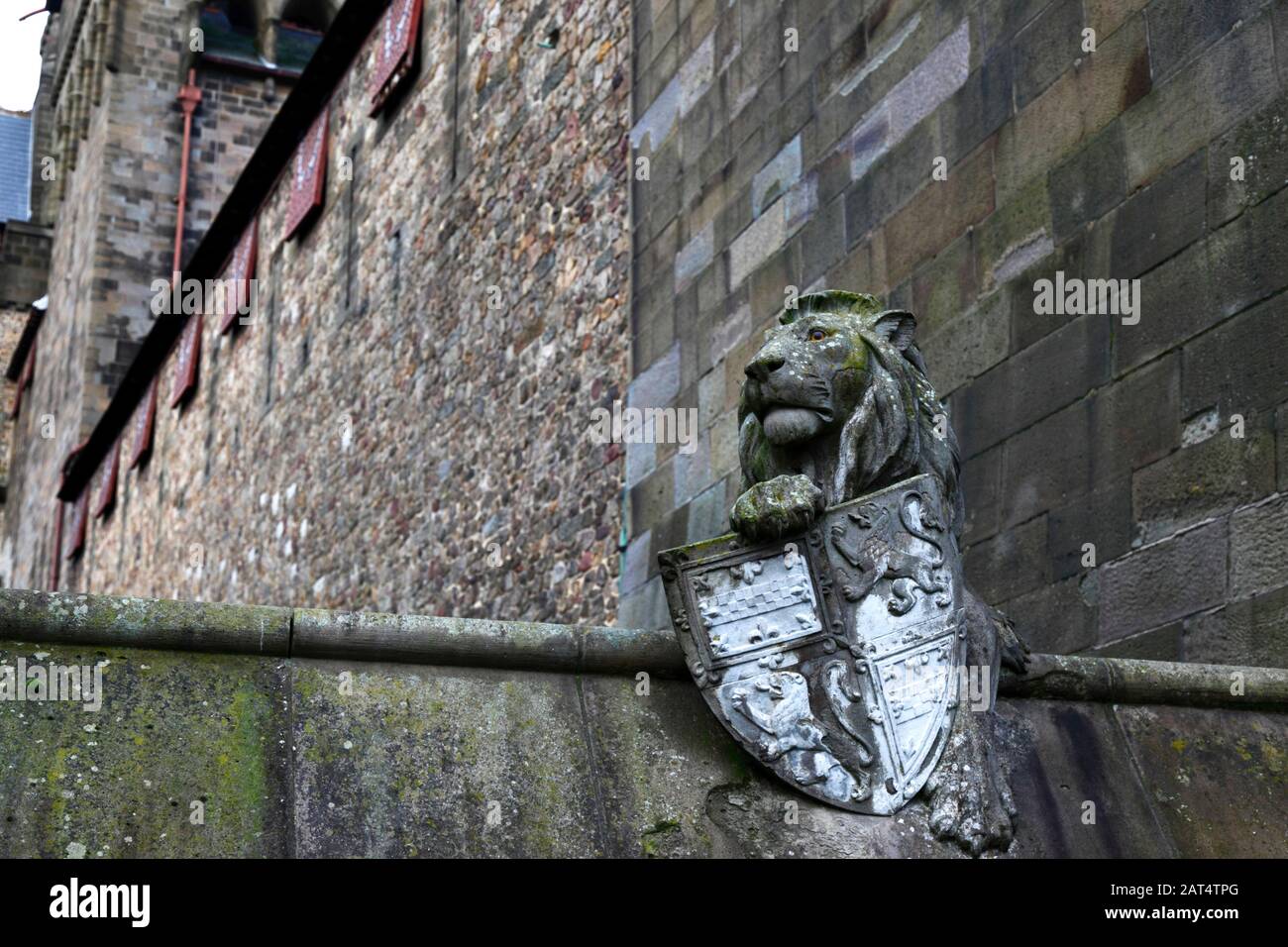 Sculpture en pierre du lion avec bouclier sur le mur animal à l'extérieur du château de Cardiff, Cardiff, South Glamourgan, Pays de Galles, Royaume-Uni Banque D'Images