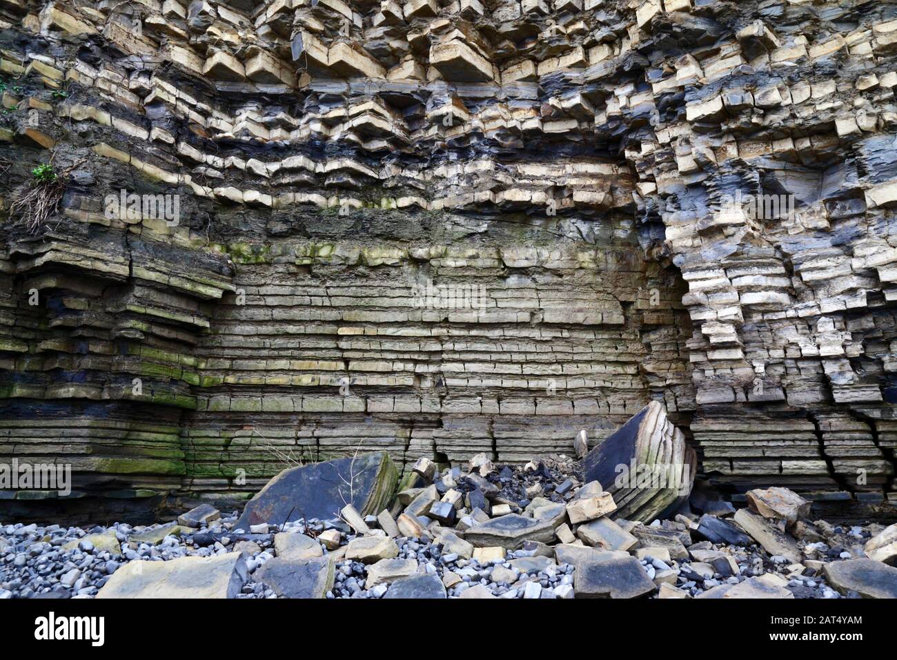 Blue Lias calcaires et strates de schiste rocheux dans les falaises de Lavernock point, South Glamourgan, Pays de Galles, Royaume-Uni Banque D'Images