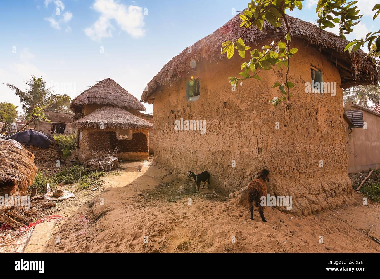 Village rural indien à Bolpur Bengale occidental avec vue sur la hutte de boue et la route de village non pavée avec des animaux domestiques au bord de la route Banque D'Images