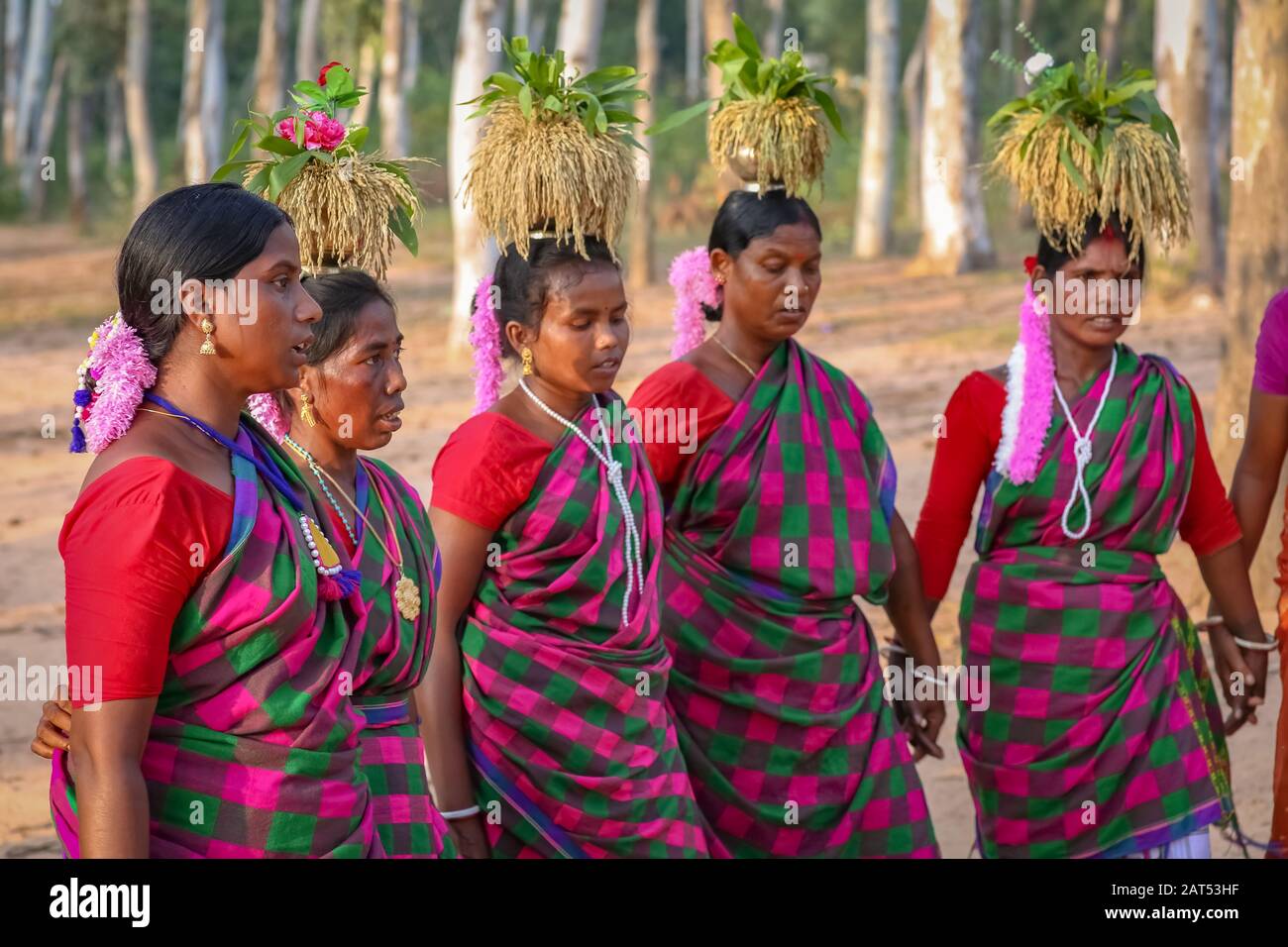 Les femmes indiennes tribales font de la danse folklorique dans une région boisée de Bolpur Shantiniketan, Bengale occidental Banque D'Images