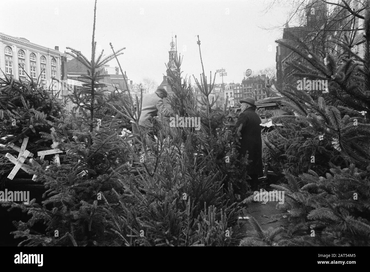 Marché des arbres de Noël à Singel Amsterdam Date: 22 décembre 1969 lieu: Amsterdam, Noord-Holland mots clés: Arbres de Noël, marchés Banque D'Images