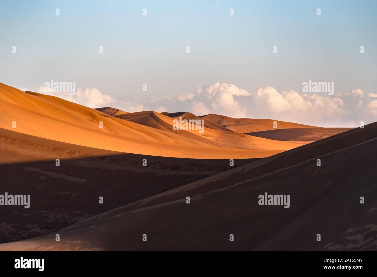 la formation de dunes de sable dans le dasht e lut ou le désert du sahara avec des plantes et des ombres Banque D'Images