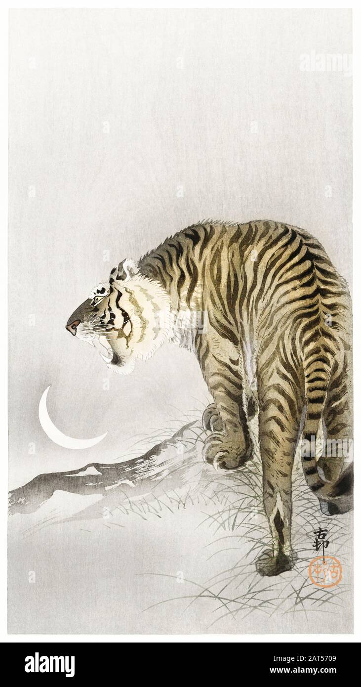 Illustrations de chats vintage Banque D'Images