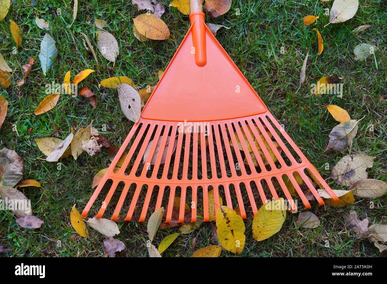 Symbole du jardinage d'automne : rakes et feuilles. Corvées et errands. Banque D'Images