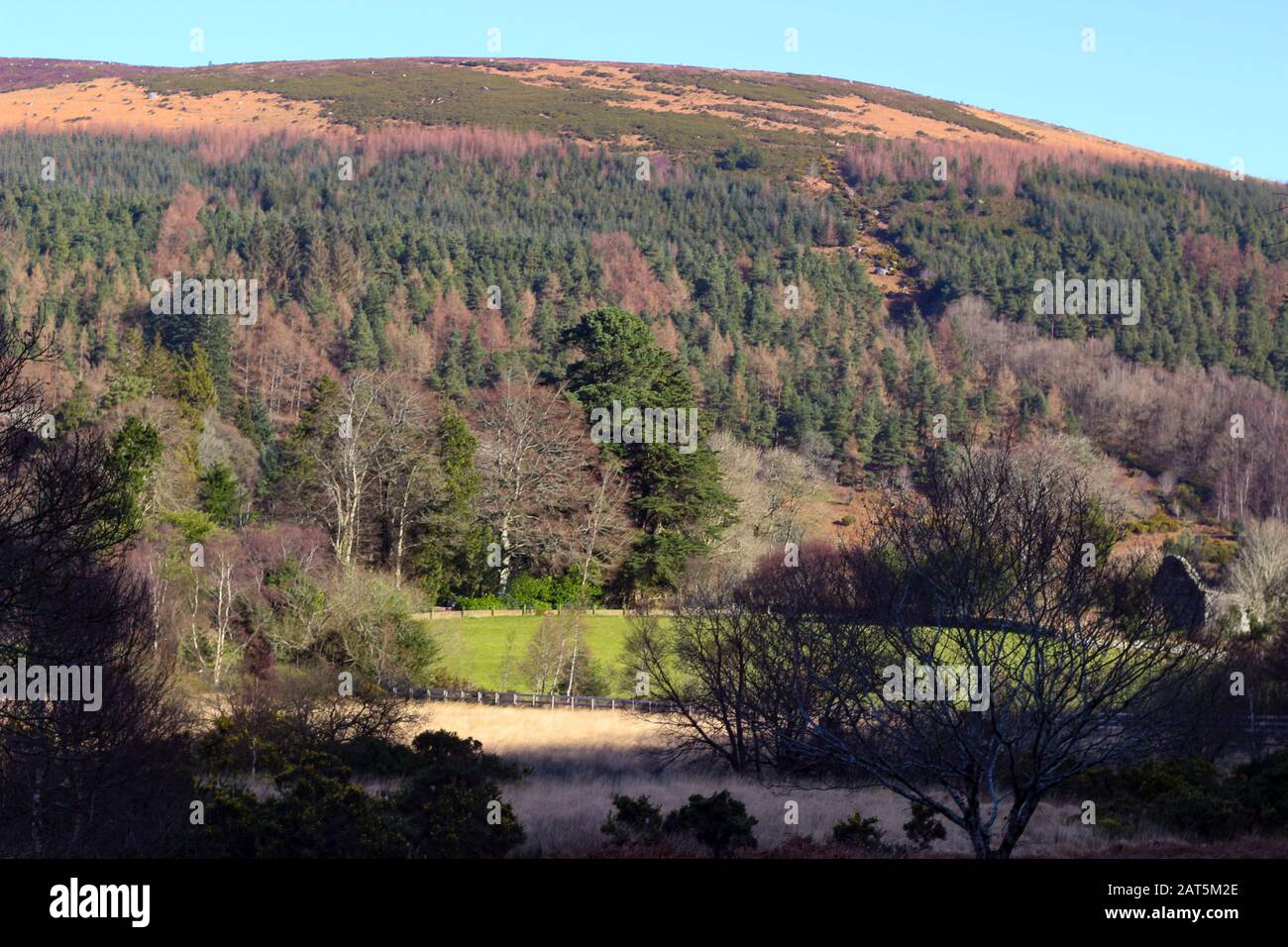 Sally Gap Dans Les Montagnes De Wicklow Banque D'Images