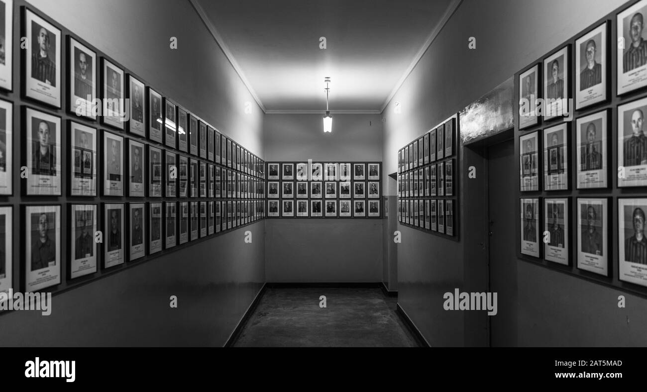 Une photo en noir et blanc d'une exposition à l'intérieur du musée Auschwitz i qui montre des portraits de prisonniers. Banque D'Images