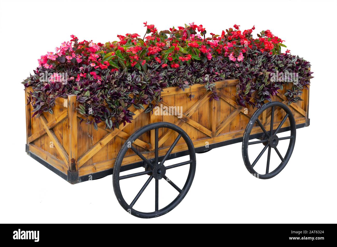 Isolé. Fleurs colorées sur le chariot ou le chariot en bois dans le jardin sur un fond blanc Banque D'Images