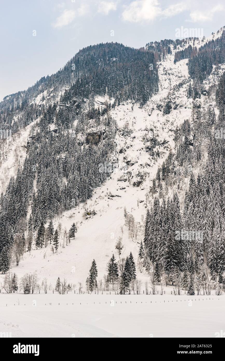 Traces après l'avalanche. Paysage de montagne d'hiver dans les Alpes. La colline, les arbres cassés et les montagnes couvertes de neige. Banque D'Images