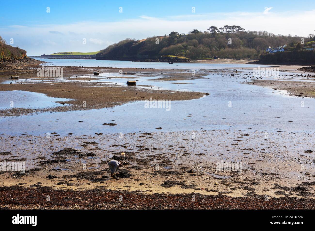 Appât-excavation: Gillan Harbour and Creek à marée basse, de St. Anthony-in-Meneage en face de Gillan, Cornwall, Angleterre, Royaume-Uni Banque D'Images