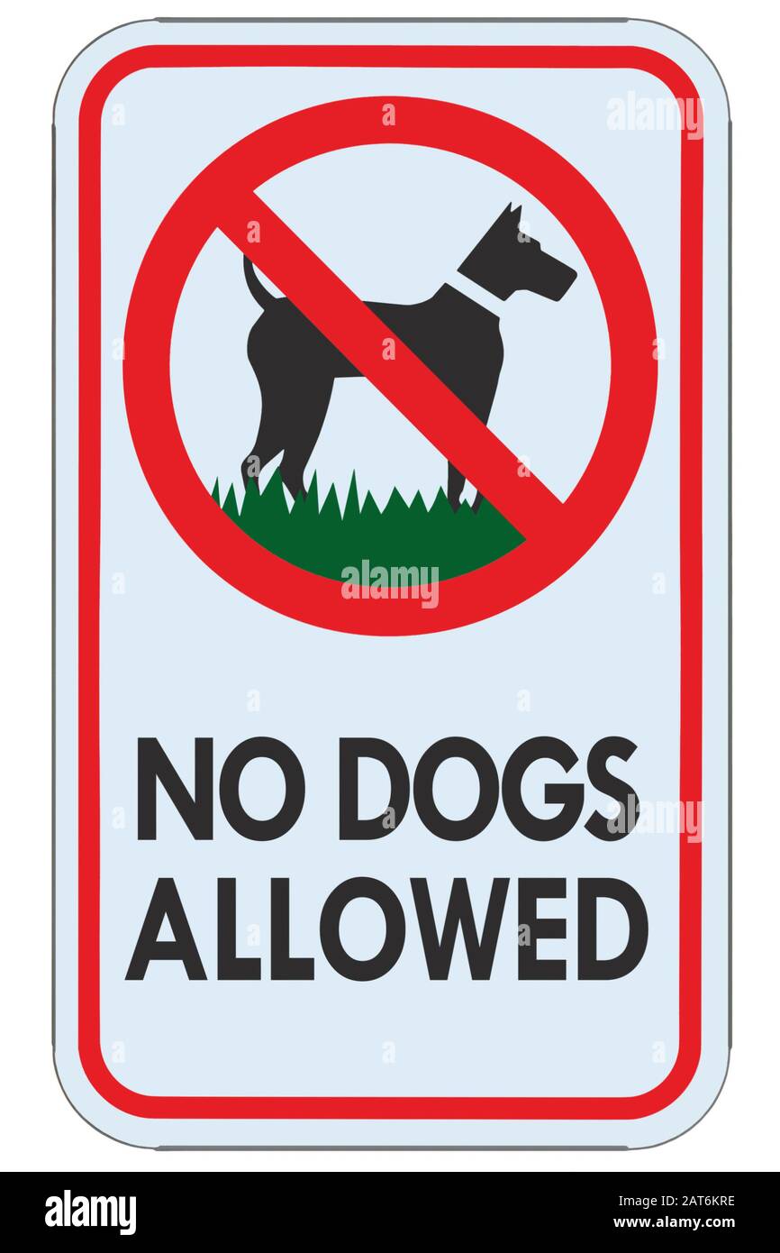 Aucun chien n'a autorisé le panneau d'avertissement texte, la fermeture de macro de signalisation interdiction détaillée isolée, le panneau d'avertissement réglementaire en métal vertical, l'autocollant rouge Banque D'Images