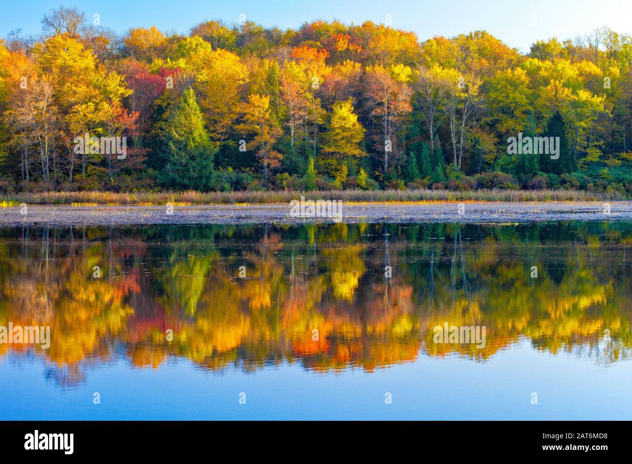 Le lac de 173 acres est l'un des deux lacs du parc national promis Land, dans les montagnes Pocono de Pennsylvanie. Banque D'Images