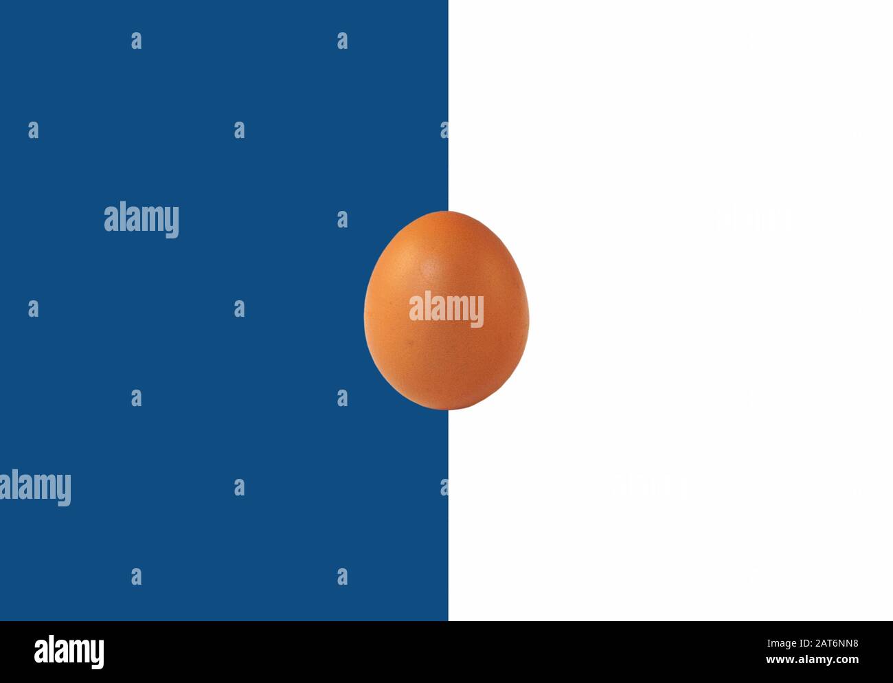 Œuf créatif sur fond blanc et bleu classique 2020. Concept publicitaire, orientation horizontale, espace de copie Banque D'Images