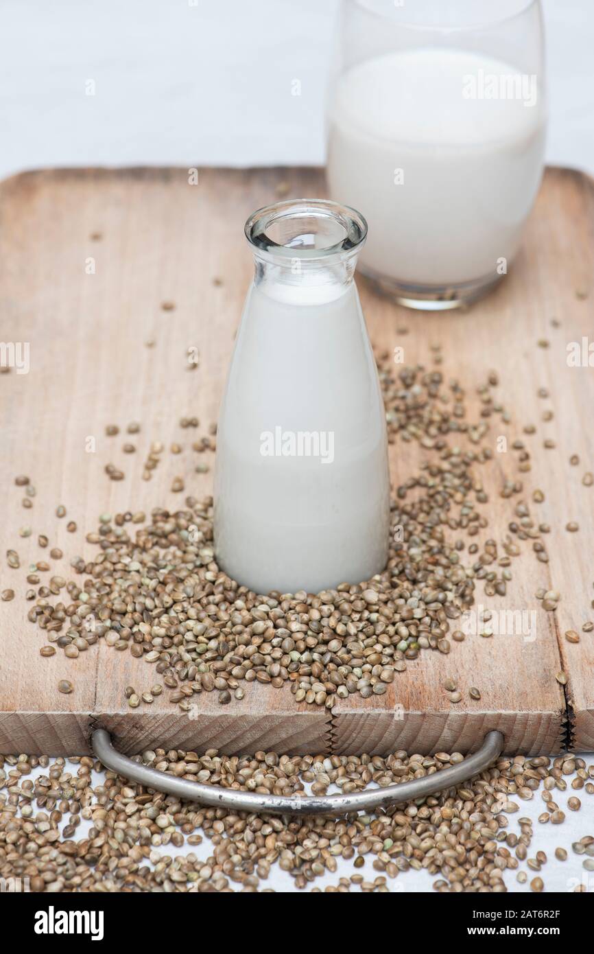 Substituts de lait à base de plantes végétaliennes. Lait de graines de chanvre avec graines de chanvre sur une planche en bois Banque D'Images