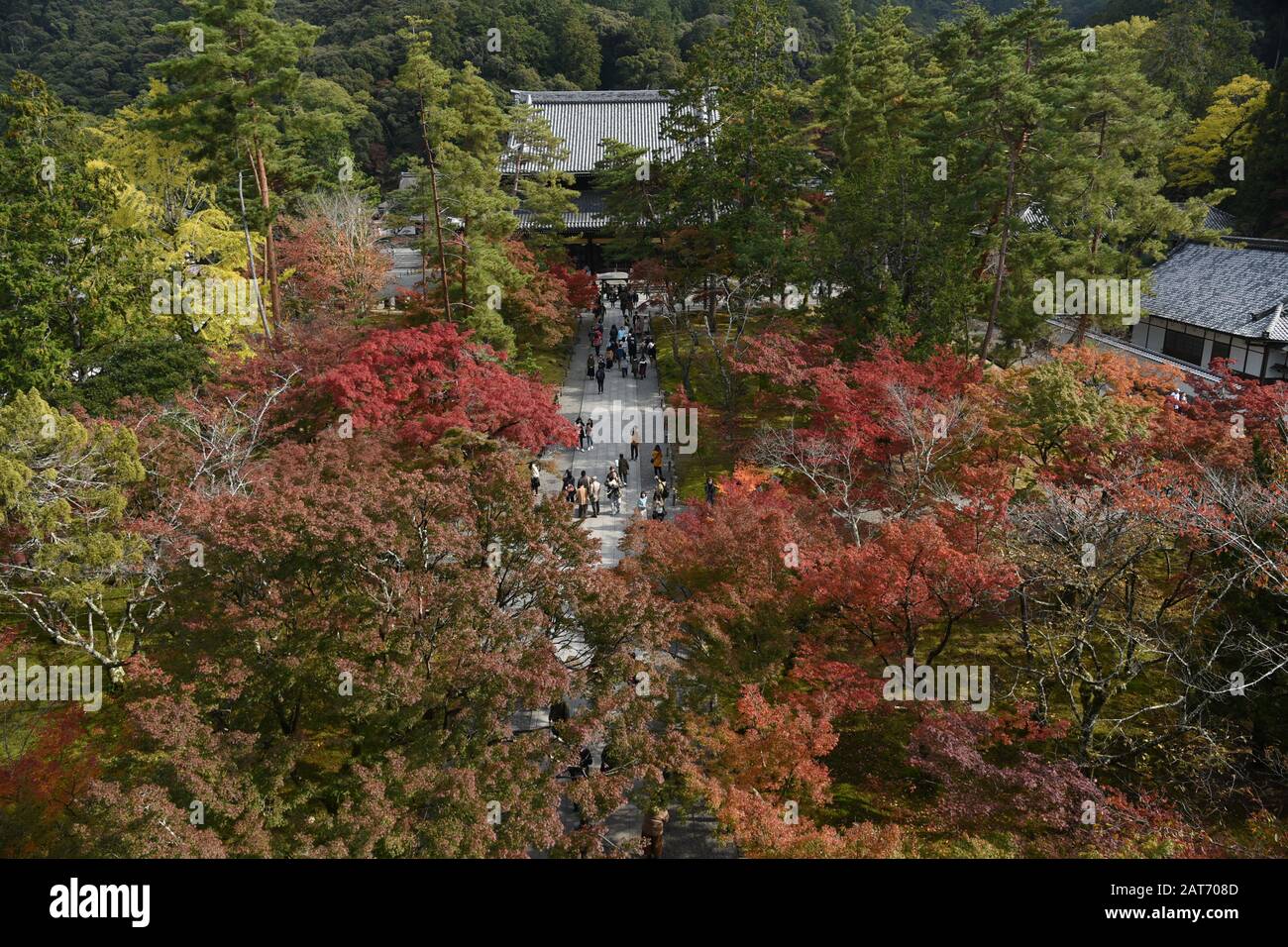Beau paysage de jardin avec des érables multicolores spectaculaires autour de lui à Nanzen-ji. Banque D'Images