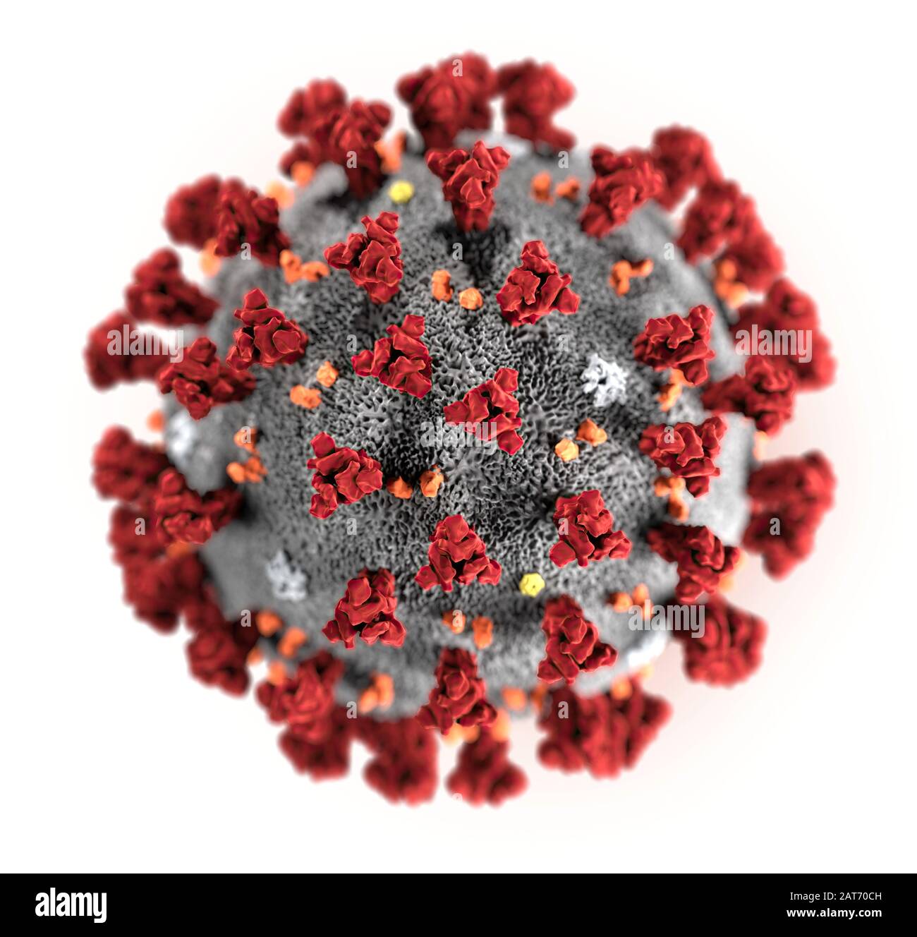 Cette illustration, créée dans les centres de contrôle et de prévention des maladies (CDC), révèle une morphologie ultrastructurale exposée par le Coronavirus Novel 2019 (COVID-19). Notez les pics qui ornent la surface externe du virus, qui donnent l'aspect d'un corona entourant le virion, lorsqu'on regarde l'électron microscopiquement. Dans cette vue, les particules de protéines E, S, M et HE, également situées sur la surface extérieure de la particule, ont toutes été marquées. Ce virus a été identifié comme la cause d'une éclosion de maladie respiratoire détectée pour la première fois à Wuhan, en Chine. Banque D'Images