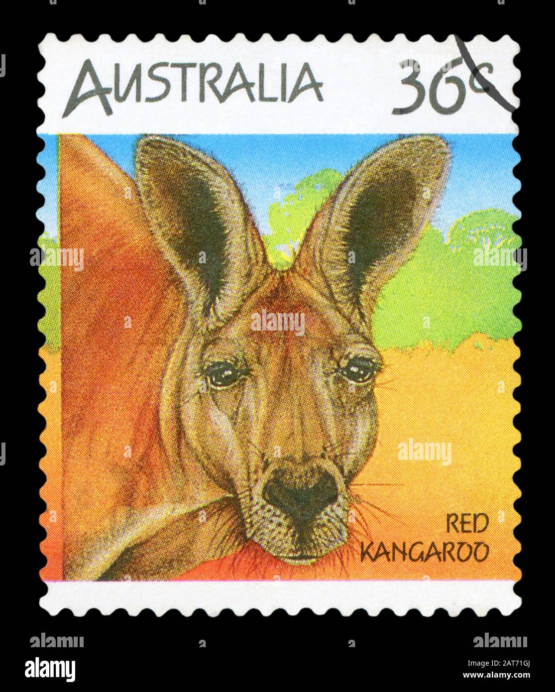 L'AUSTRALIE - circa 1994 : un timbre-poste utilisé à partir de l'Australie, représentant une image de kangourous, vers 1994. Banque D'Images