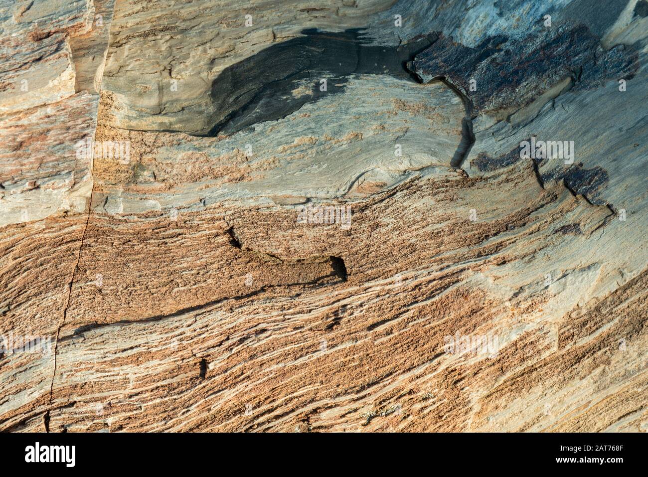 Surface fissurée de bois pétrifié près Banque D'Images