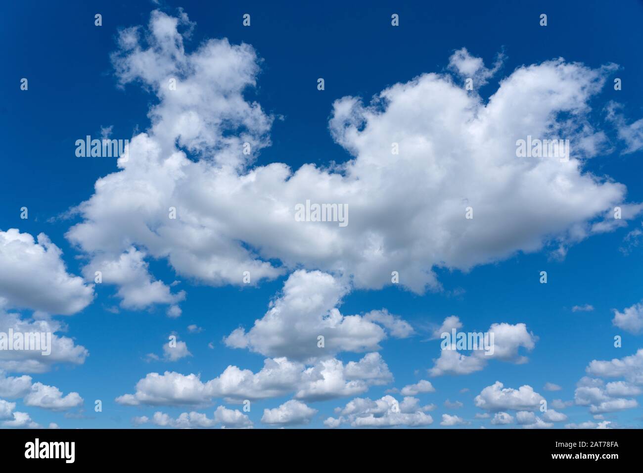 Les nuages blancs moelleux contre un ciel bleu profond Banque D'Images