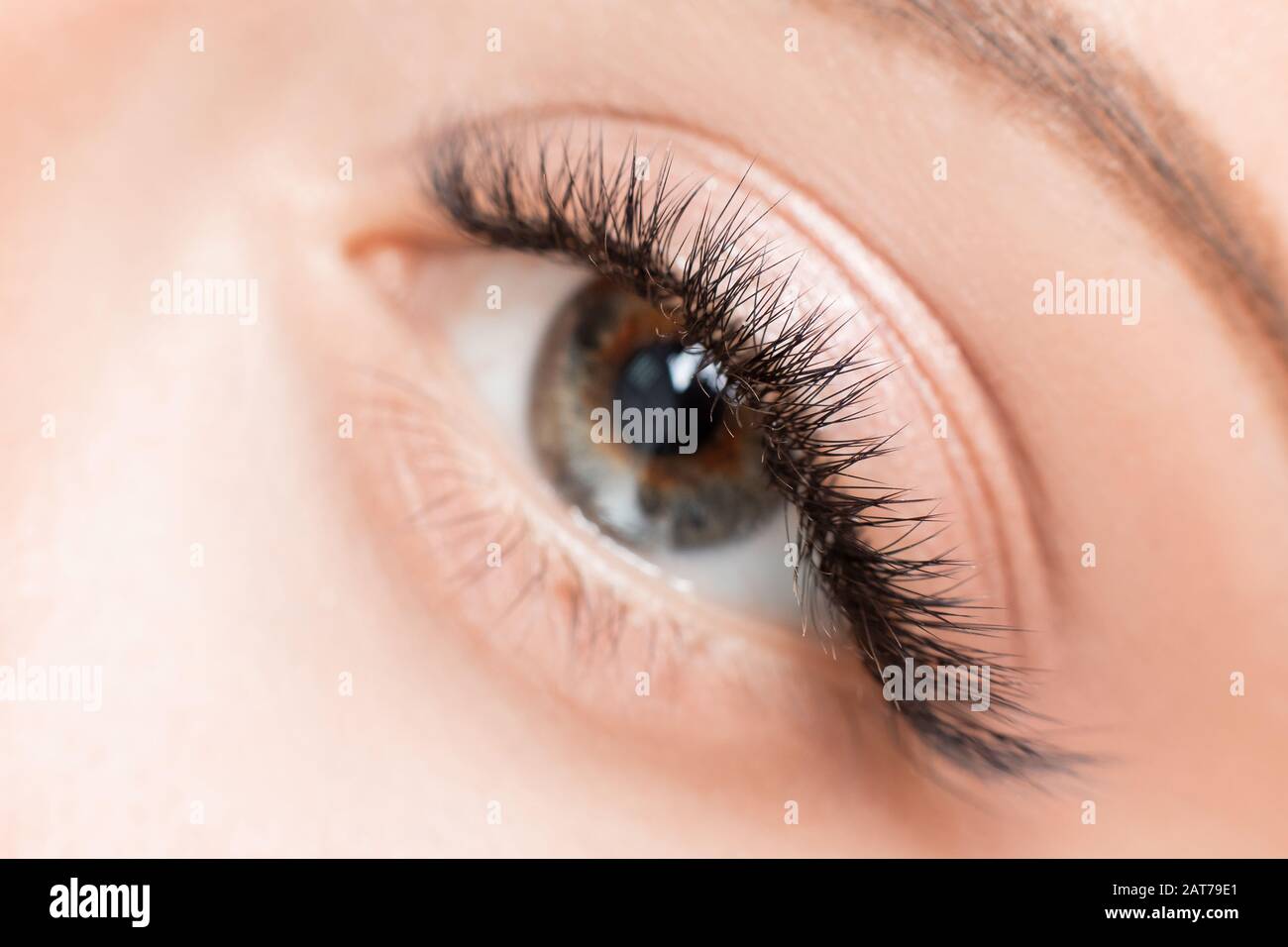 Procédure d'extension de cils. Belle femme les yeux avec de longs cils  maquillage libre Photo Stock - Alamy