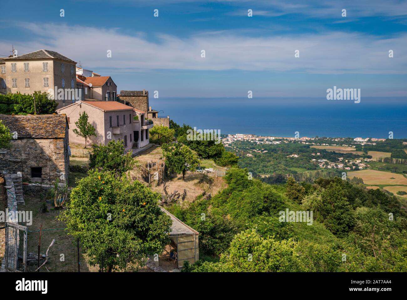 Hill ville de San Nicolao, Costa Verde mer Coast, Mer Tyrrhénienne en distance, Castagniccia région, Haute-Corse département, Corse, France Banque D'Images