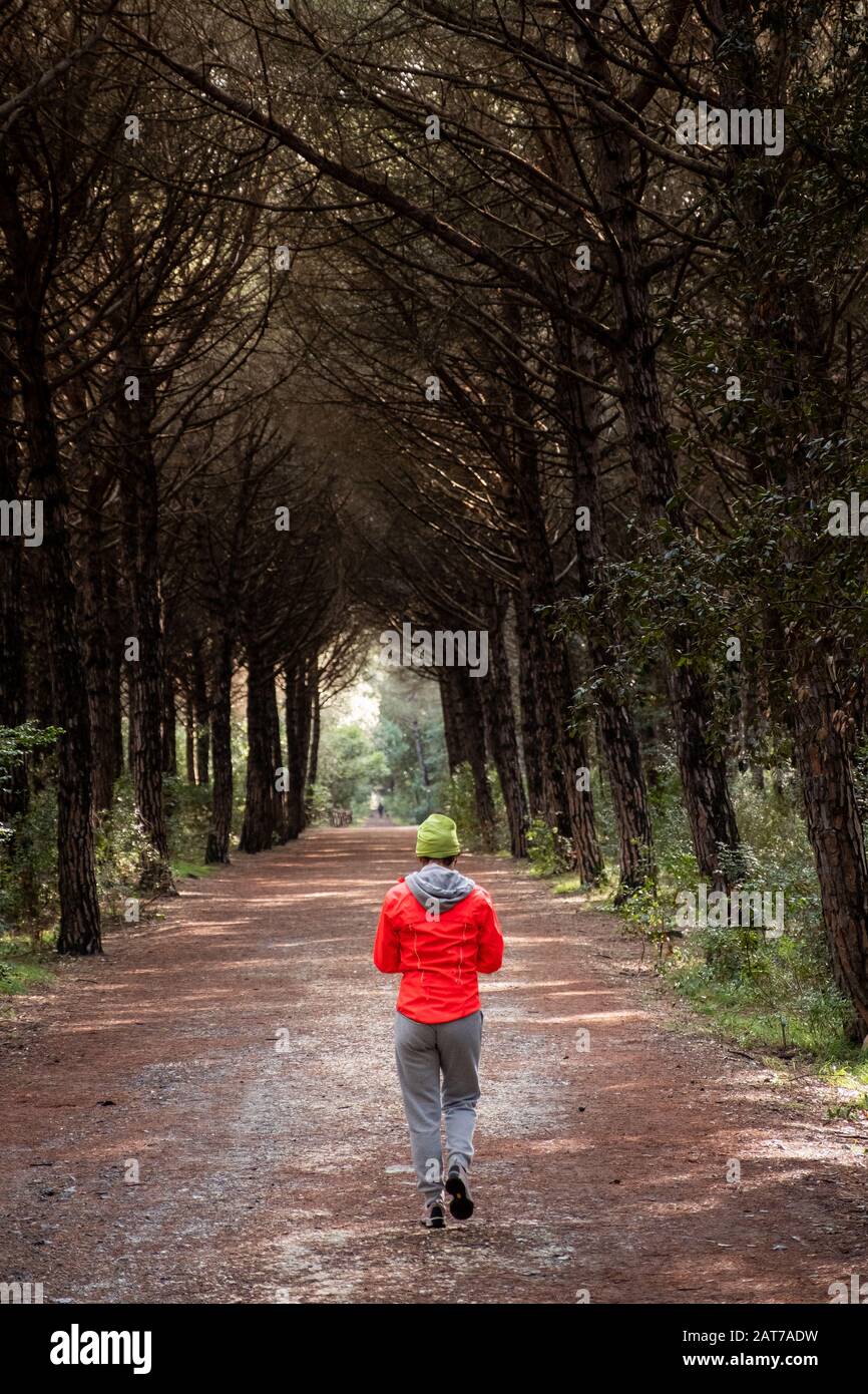 Marina di Cecina - La forêt de pins est traversée par un grand sentier de 5 km de long qui vous permet d'arriver à Bibbona, qui peut être voyagé à pied, à vélo A. Banque D'Images