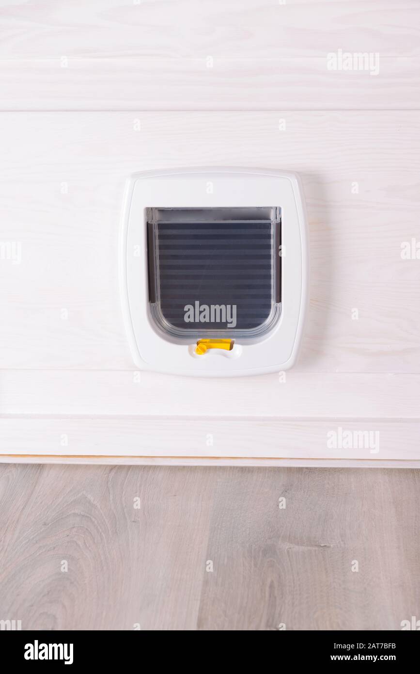 Porte de chat en plastique blanc, entrée à la boîte de litière de chat ou à l'extérieur Banque D'Images